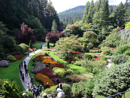 Butchart Gardens