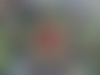 Never Ending Gobstopper