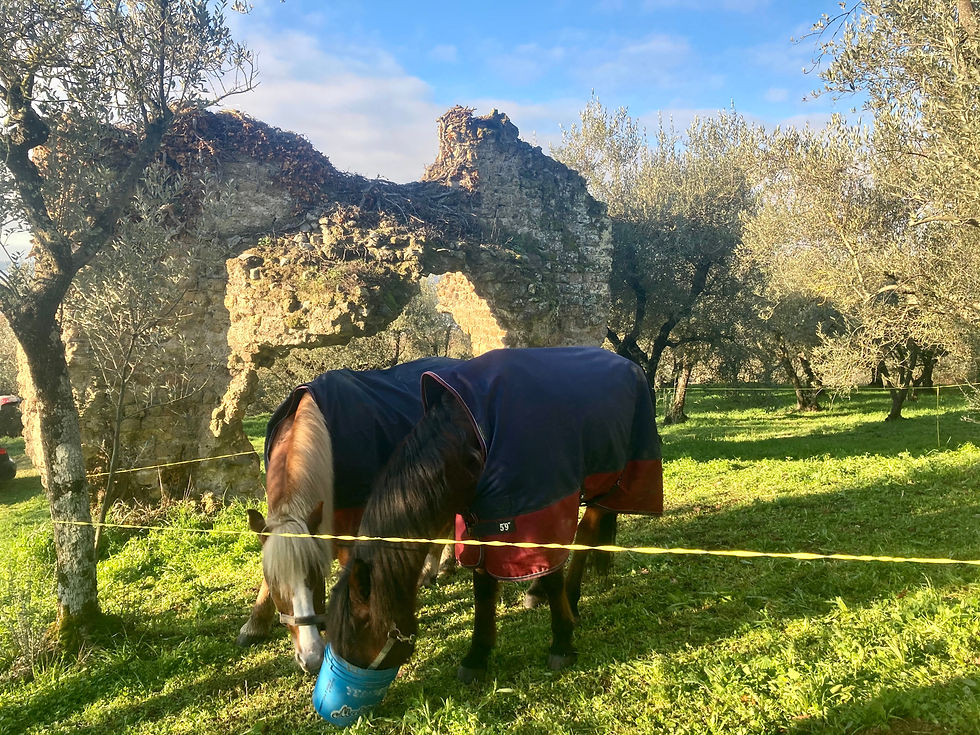 Auf dem Weg nach Rom