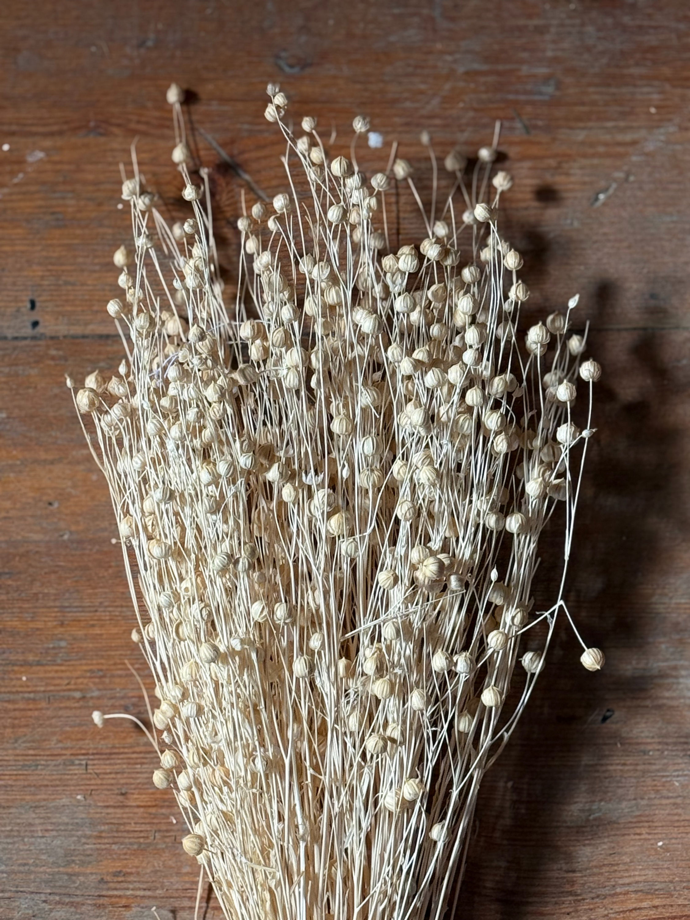 Trockenblumen