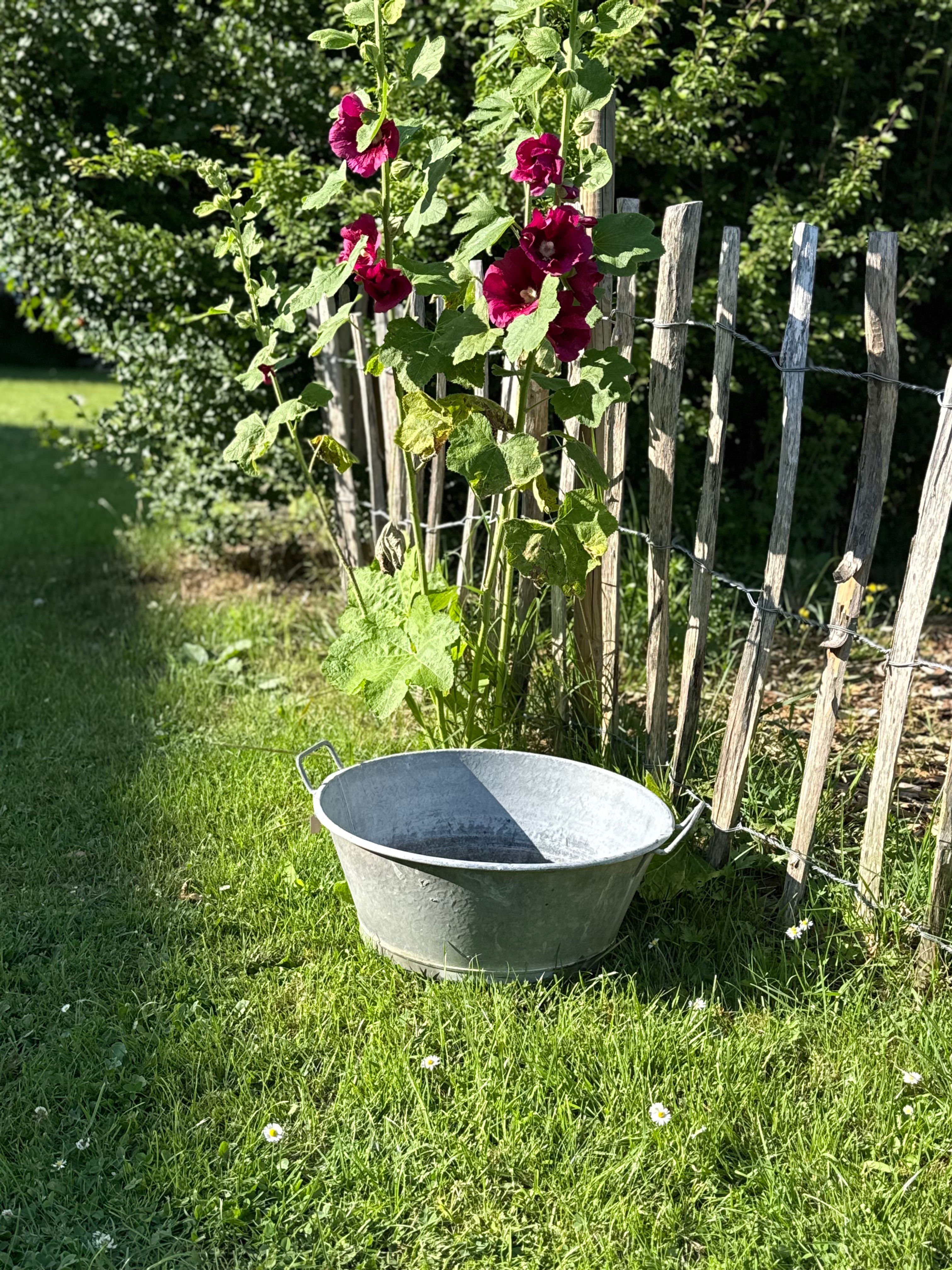 Kleine alte Zinkwanne