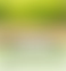 Tiny Habits = Big Impact