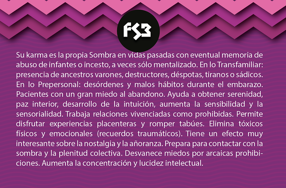 FS3