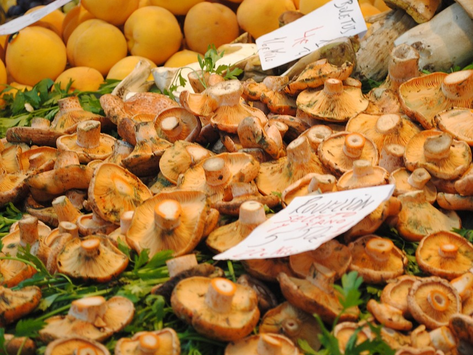 DE LA ALCALDESA DE LOS MERCADOS A LA “ALCALDESA DE LOS SUPERMERCADOS”?
