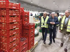 LA ASOCIACIÓN DE MERCADOS MUNICIPALES PRESENTA UNA DEMANDA DE  REINTEGRO ANTE EL TRIBUNAL DE CUENTAS CONTRA LOS PRESIDENTES DE MERCAVALENCIA.