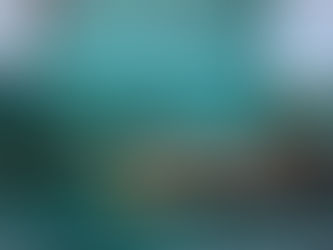 If Your Walls Could Talk: A Wall Art & Home Decor JOURNEY