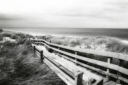 Black and white photographic wall art of a shoreline coastal boardwalk walking trail.