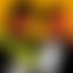 Art Basel 2025 we are back !