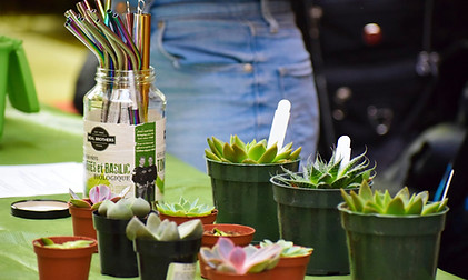 73254200_2571193519817720_11025900112256