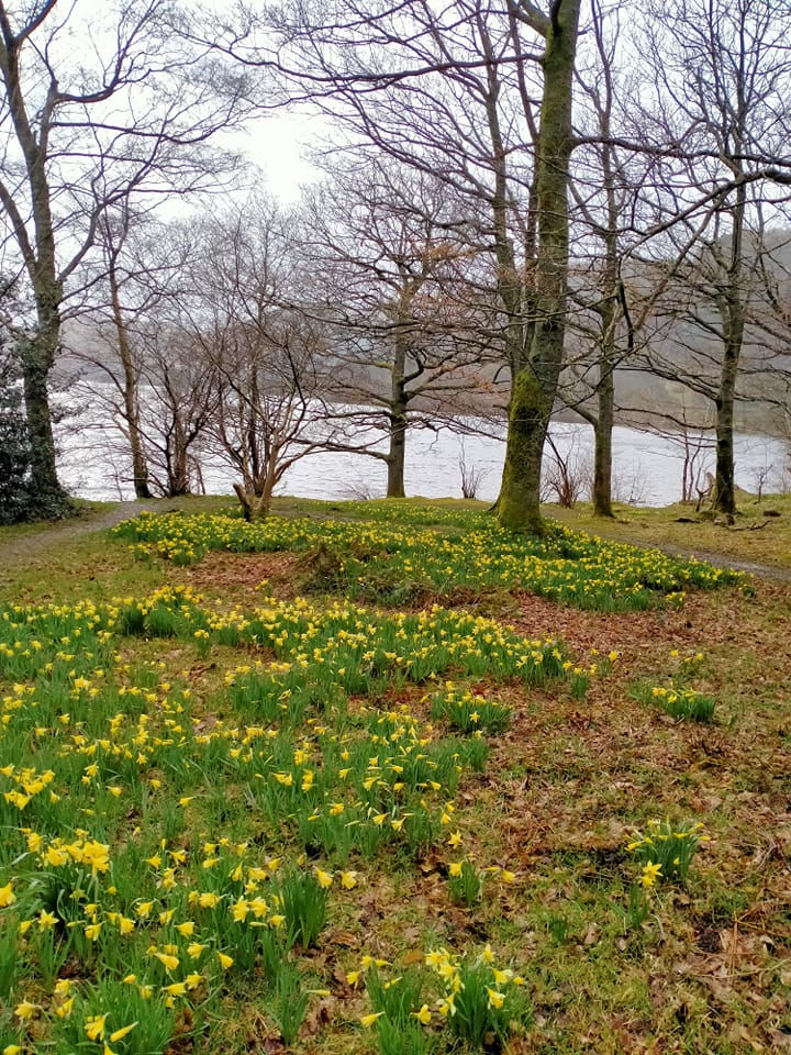 Ullswater Garden Group