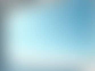 Top Benefits of Professional Window Washing Services