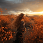 Femme de profil dans un champ doré au coucher du soleil, atmosphère poétique et cinématographique. Illustration du site de Stephanie Bernard, compositrice de musique introspective à la harpe, piano et voix, inspirée par les accents celtiques.