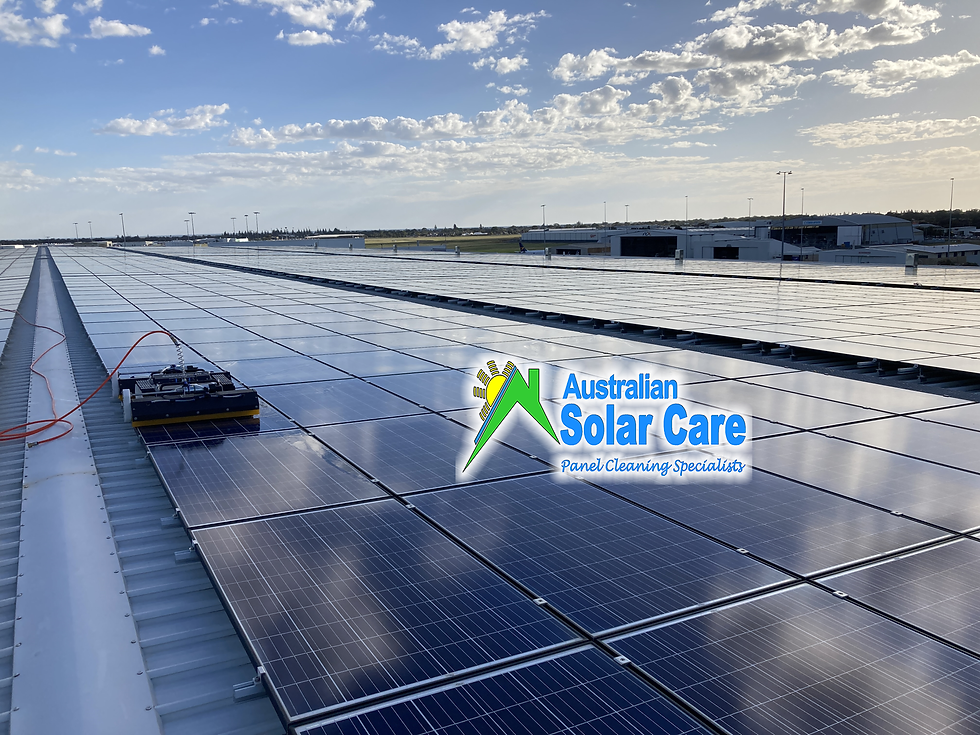 Australian Solar Care Pty Ltd - Dwarfed