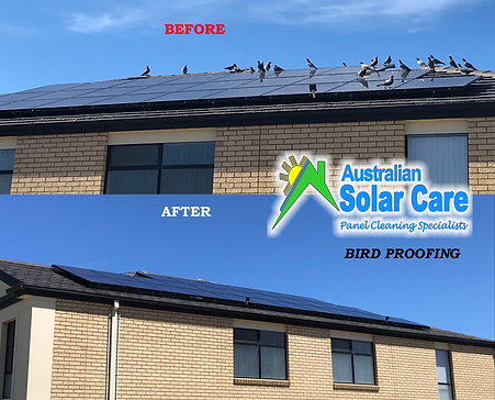 Adelaide Solar Panel Cleaning and Bird Proofing Specialists