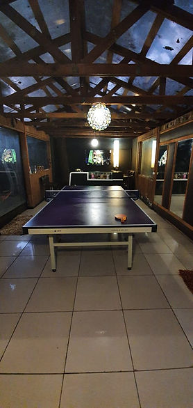 table tennis.jpeg