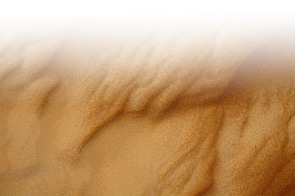 GettyImages-148799108.png