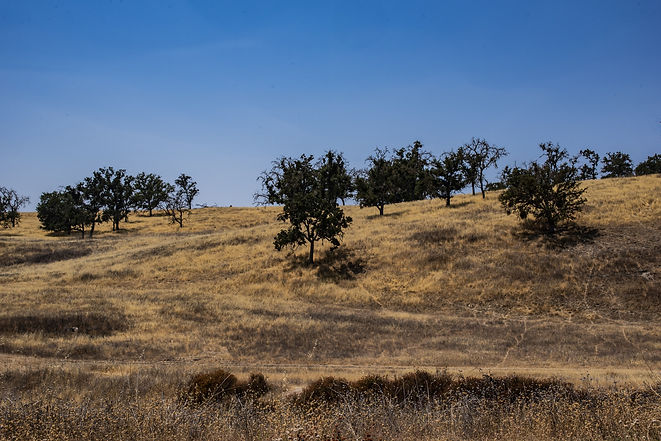 central-california-landscape.jpg