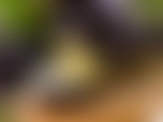 Agua de berenjena y limón para reducir el colesterol