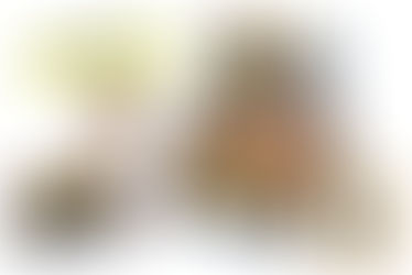 【nonpi foodbox™1周年記念】新発売「アサヒ ハイボリー」を「スタンダードプラン」ご注文の方に1本無料でお届け。お酒を飲む人も飲まない人もスマートドリンキングで楽しもう！