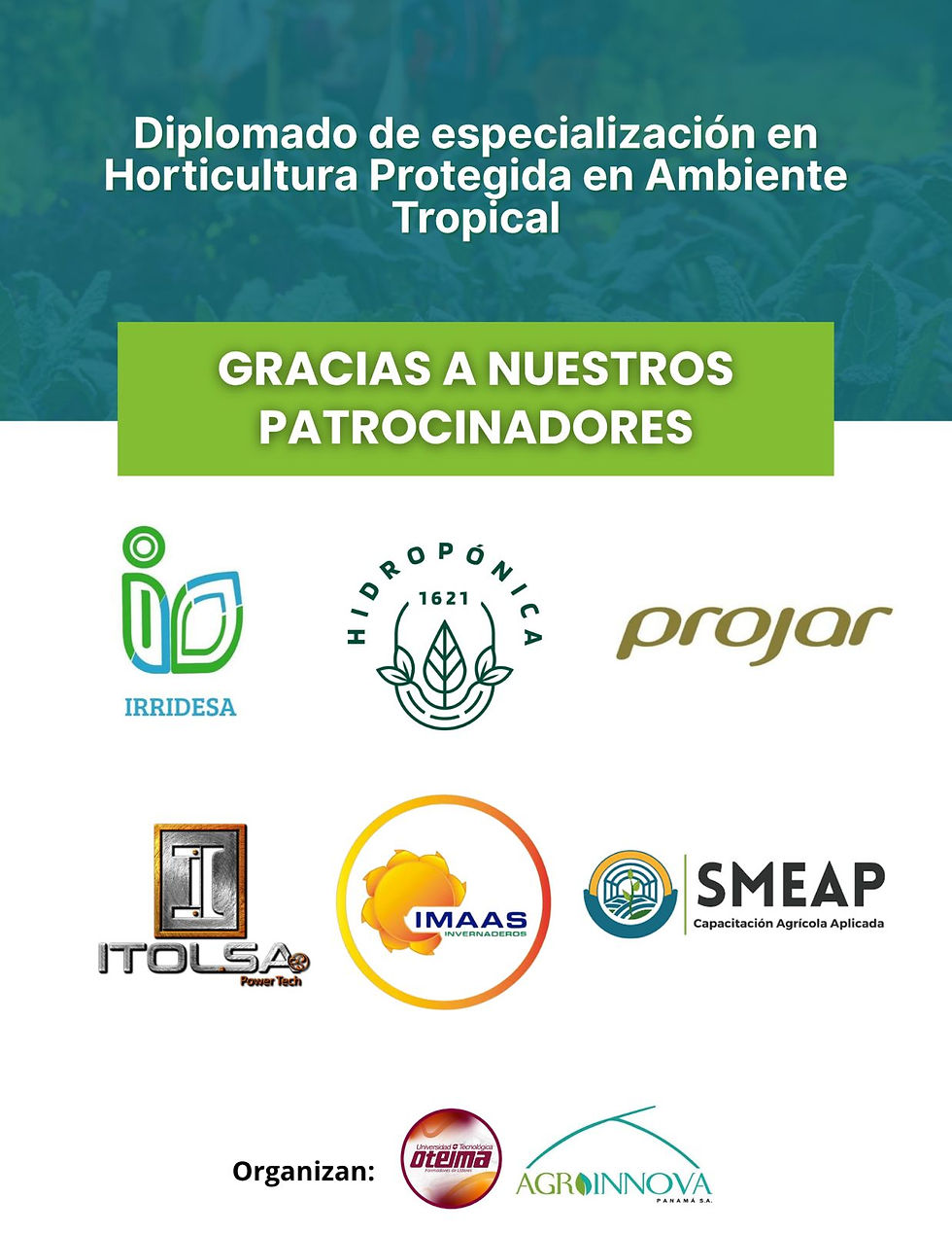 Patrocinadores del diplomado