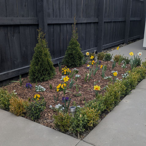 Planting and tree care in Christchurch