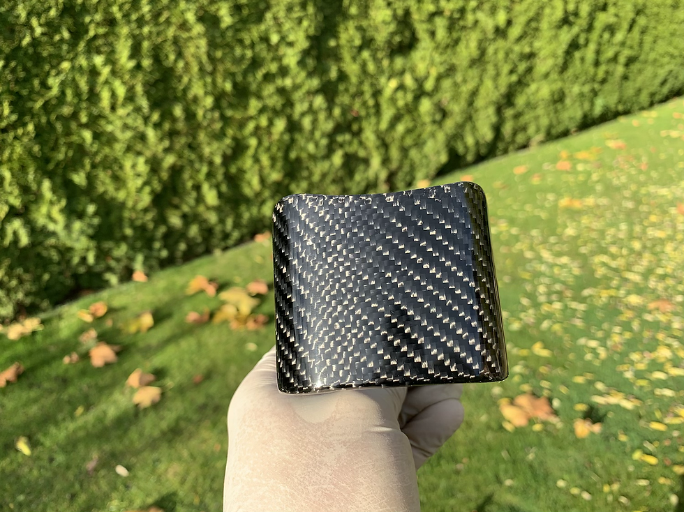 Miniaturbild: Rücklichtgehäuse Vogelserie Carbon