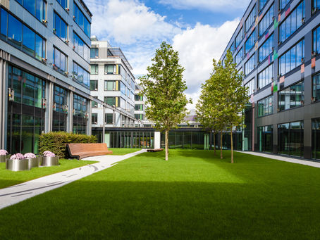 Why Businesses Should Prioritize Green Landscaping