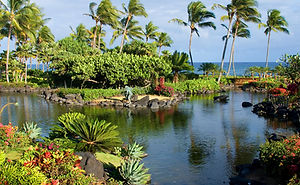 Kawaiola Photography at Grand Hyatt, Kauai