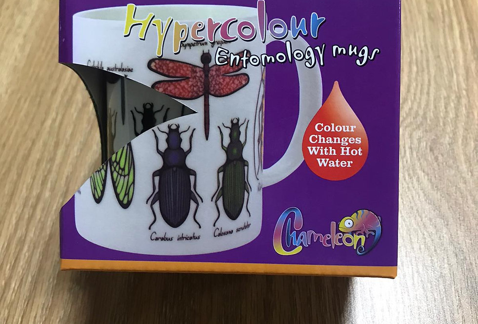 Entomology Mug