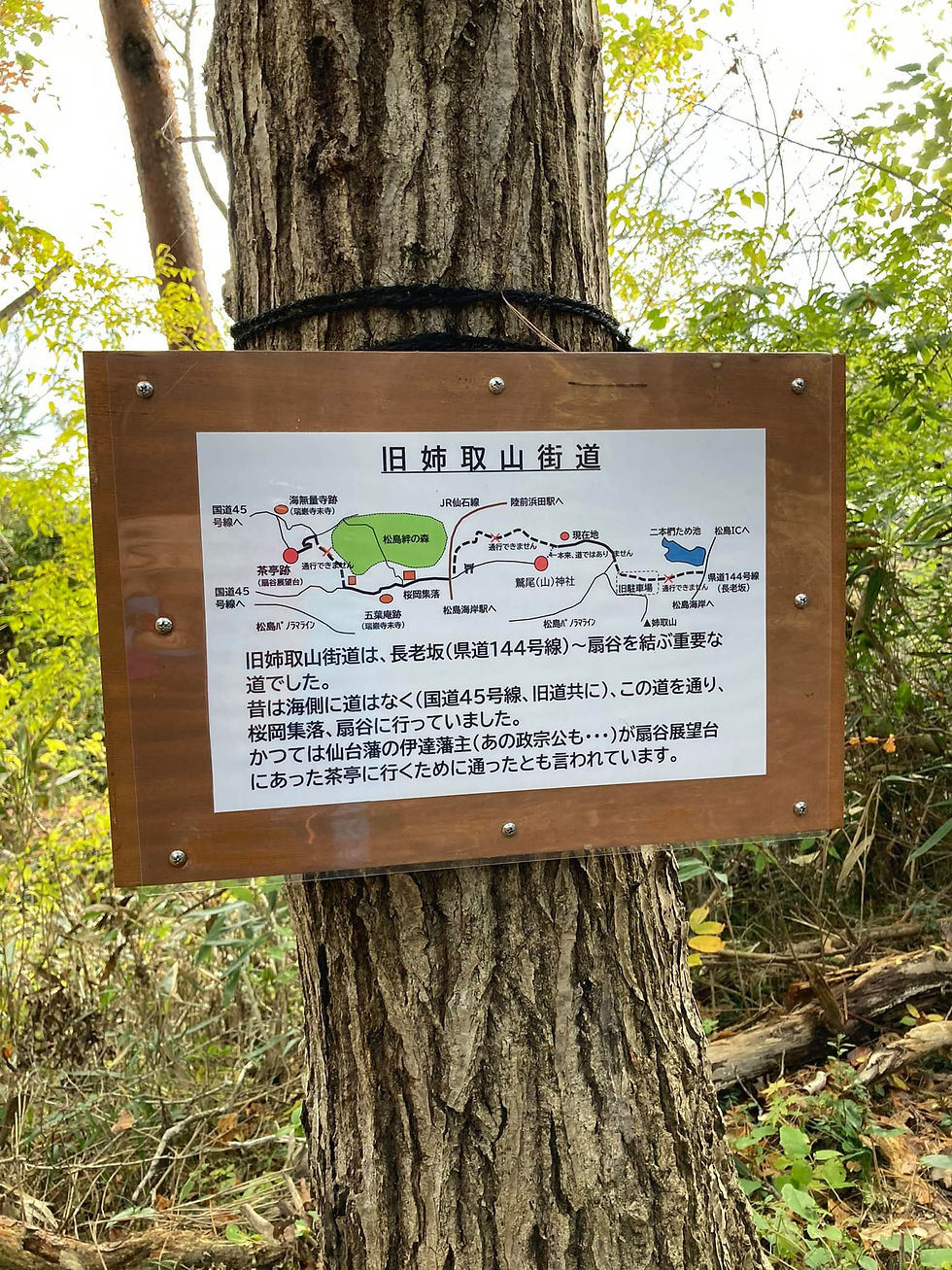 ツアーではありません!森林整備ボランティア活動です【松島トレイル・松島古道整備関わり隊】