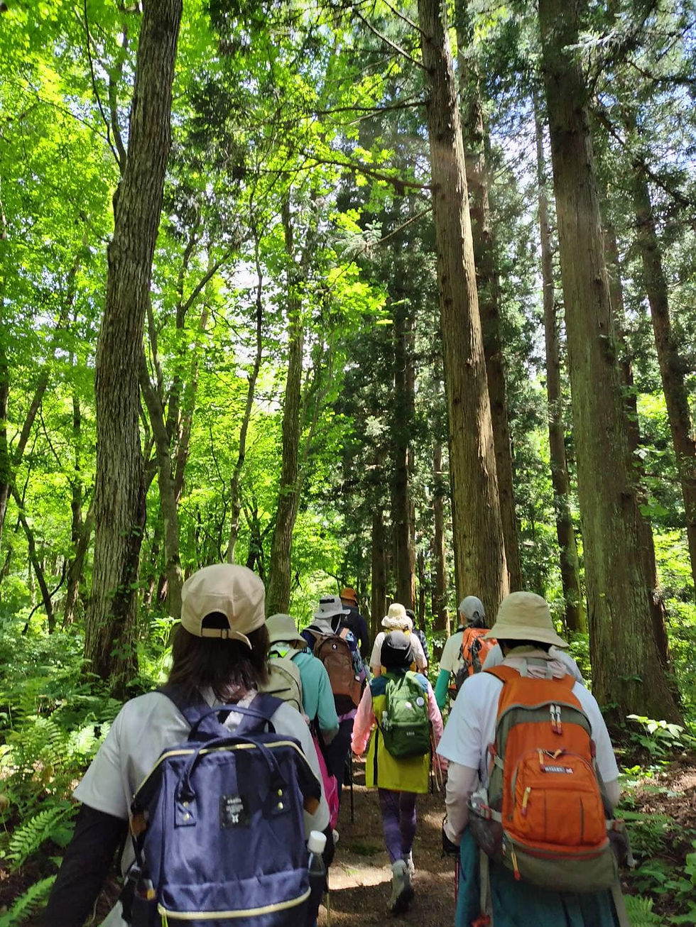 全国各地で熊と人間の接触事故が多くなっています。