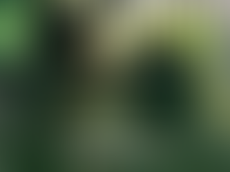 Learning Continues in Different Ways