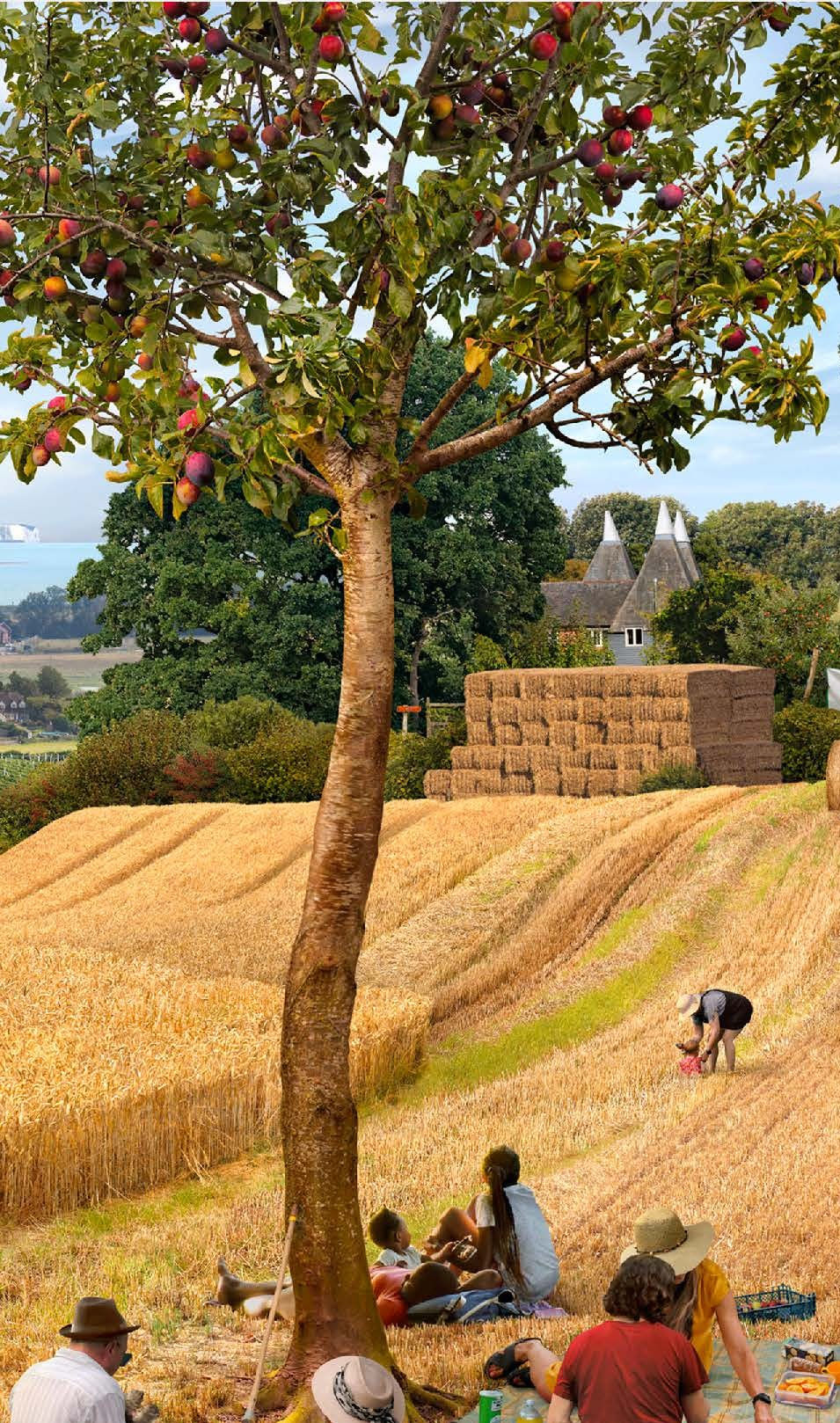 Exclusive Friends Invite: Six Seasons with Emily Allchurch Thursday 17 September