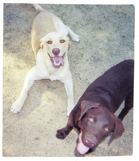 Buddy%20%26%20Sam%202_edited.jpg