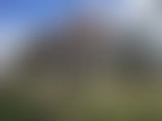 Spring has Sprung at MCP