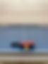 IMG_2577.jpeg
