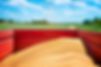 animal feed sized.jpg