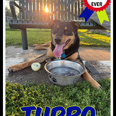 Turbo
