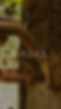 CS1.png