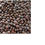 Thumbnail: Black Lentil (Black masoor Dal) ถั่วเลนทิลดำ 250 grams
