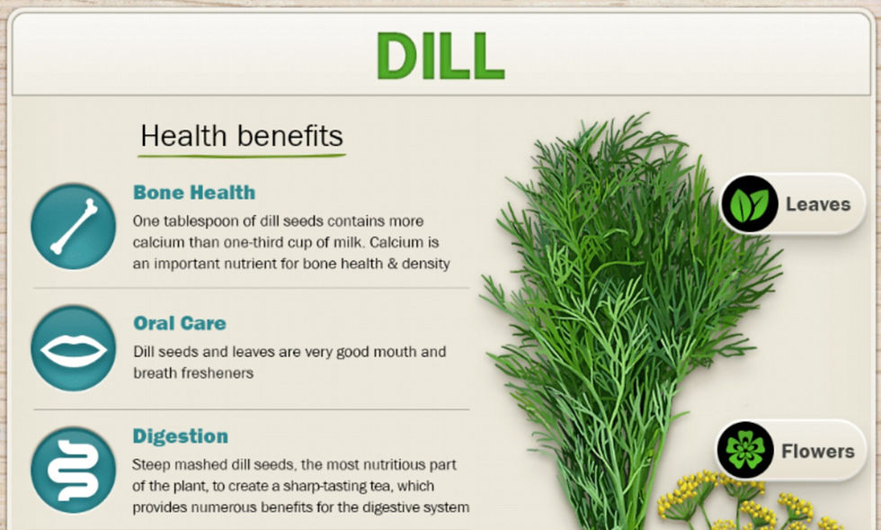 Thumbnail: ใบผักชีล าว หรือใบดิล   #Dill Leaf  from Europe 100% Natural 100 gr
