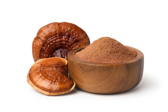 Thumbnail: Reishi Mushroom Powder , เห็ดหลินจือแดงผง เกรดเอ ( ไม่ฟู สีน้ำตาลเข้ม ) 50 gr