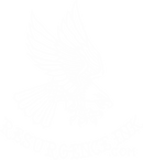Resurgence Ink Eagle Shirt white.png