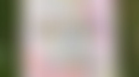 The 100 Day Project | 2017 | 100 Days of Kindness and Art