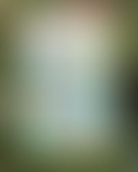 100 Days of Kindness and Art | 038/100