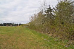 Team_T+©s_F+©dselsdagsskydning_29042017_033