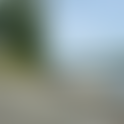 New upstream dock along the Connecticut River