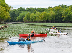 Connecticut River Conservancy Receives CT DEEP Grant for Water Chestnut Management