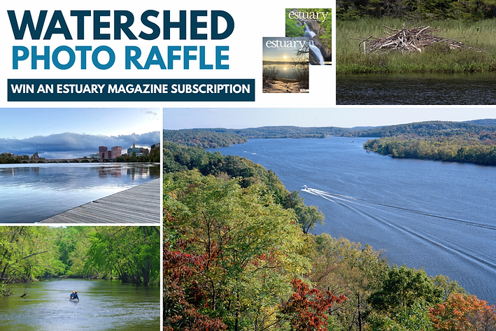 watershed raffle.png