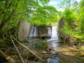 Valley Street dam in Springfield, VT, in visible disrepair and surrounded by trees.